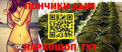 альфа пвп Камышлов